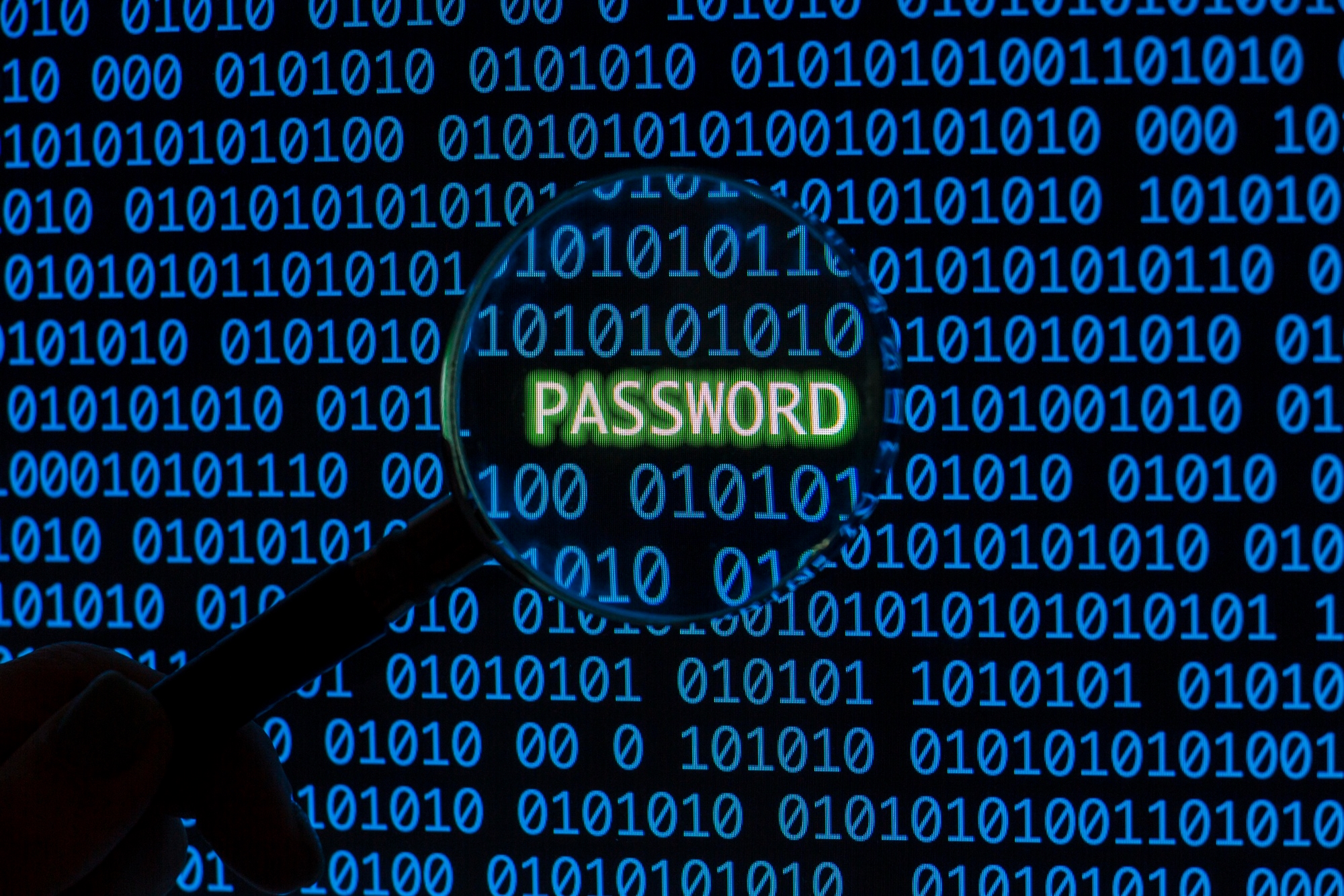 código fonte com palavra password em destaque
