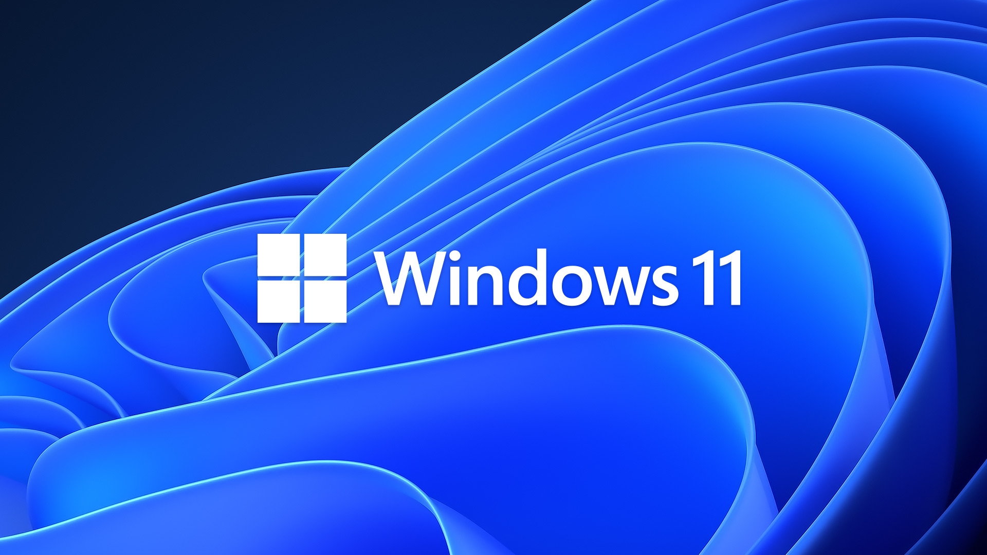 Windows 11 logo