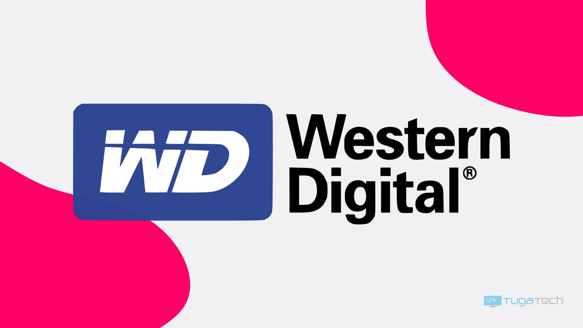 WD logo da empresa