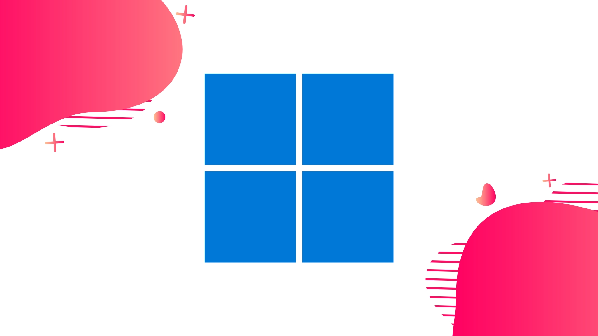 Windows 11 logo do sistema
