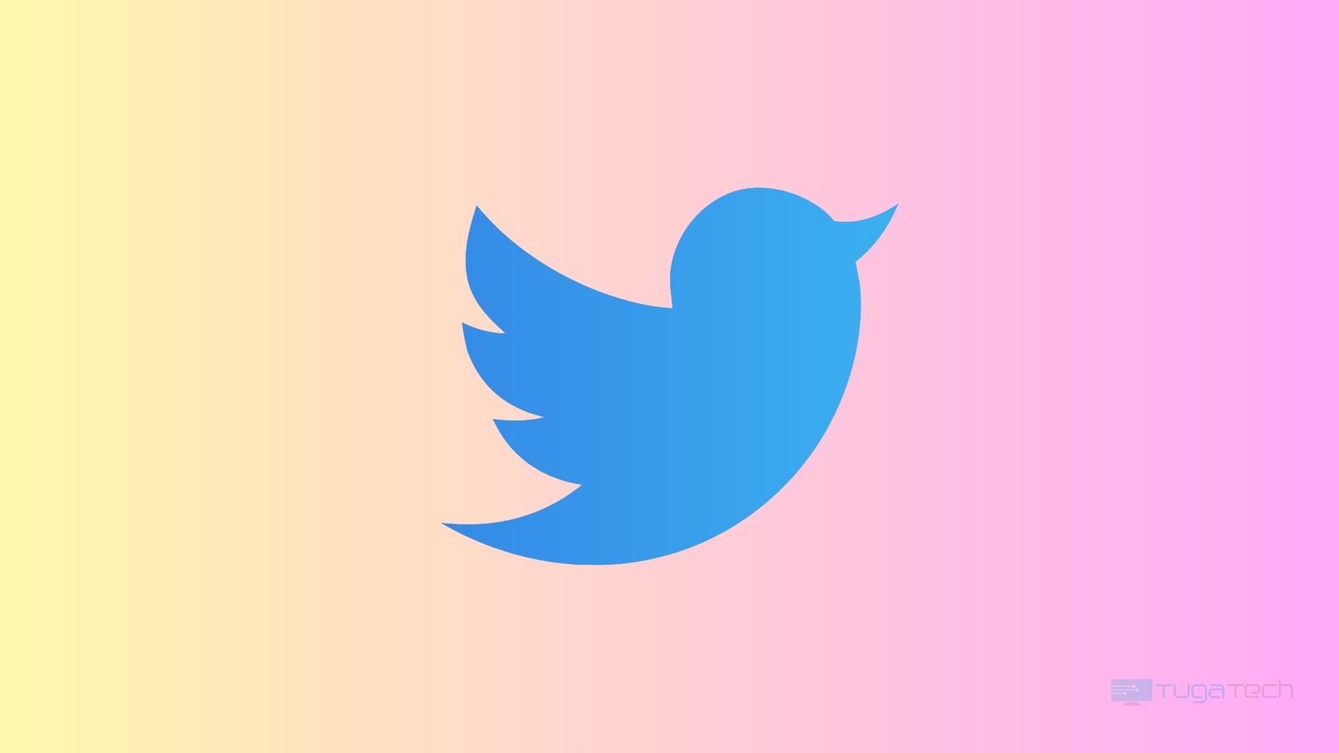 Logo do Twitter em fundo rosa