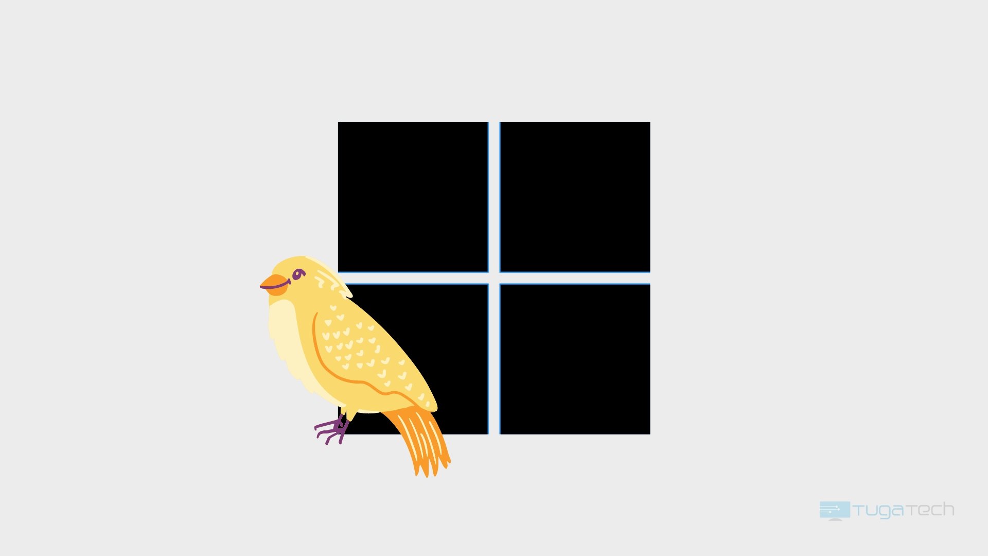 Windows 11 logo do sistema com canário apoiado