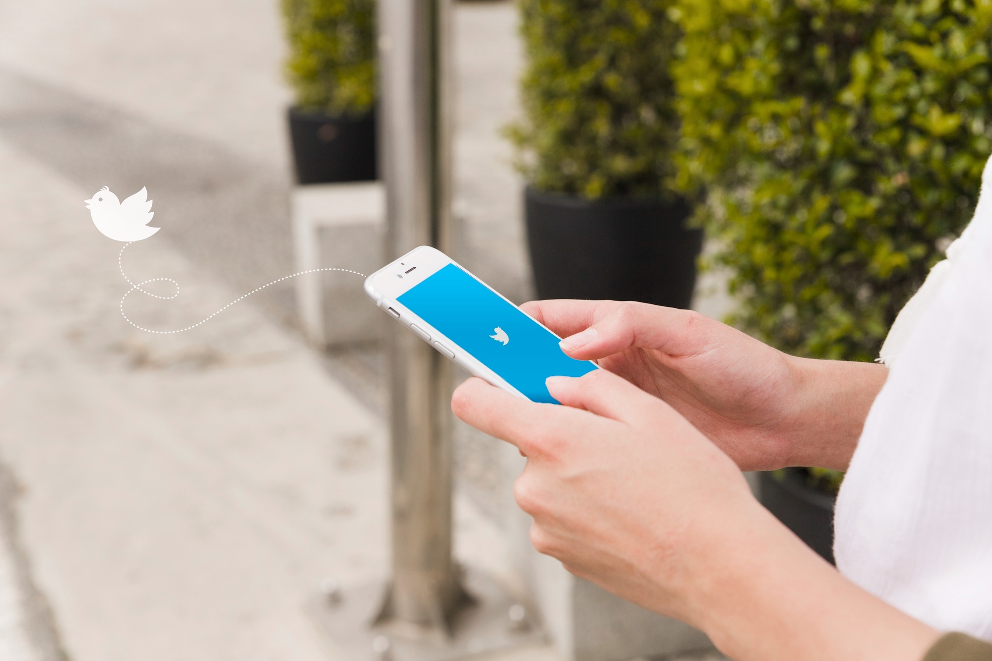Twitter a fugir de telemóvel