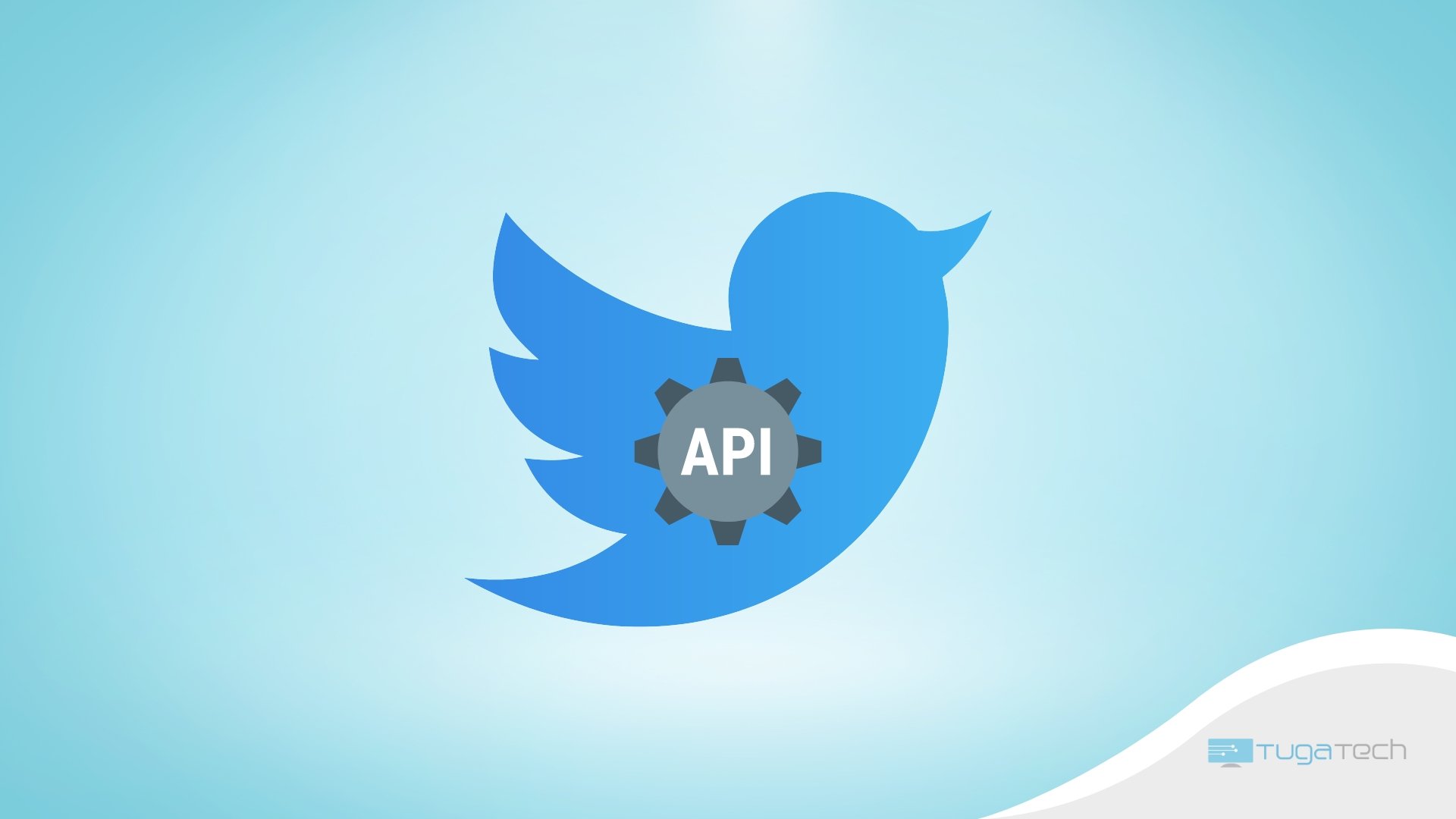 Twitter com sinal de API