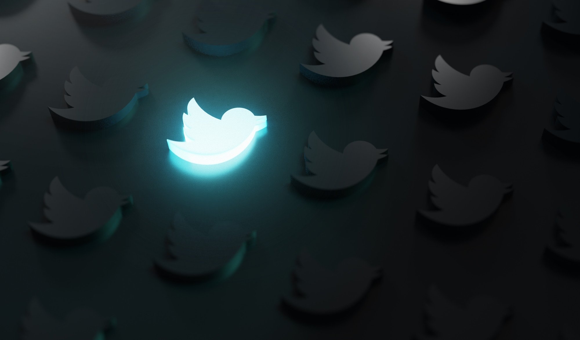Twitter logo da plataforma em 3D com sinais de luz