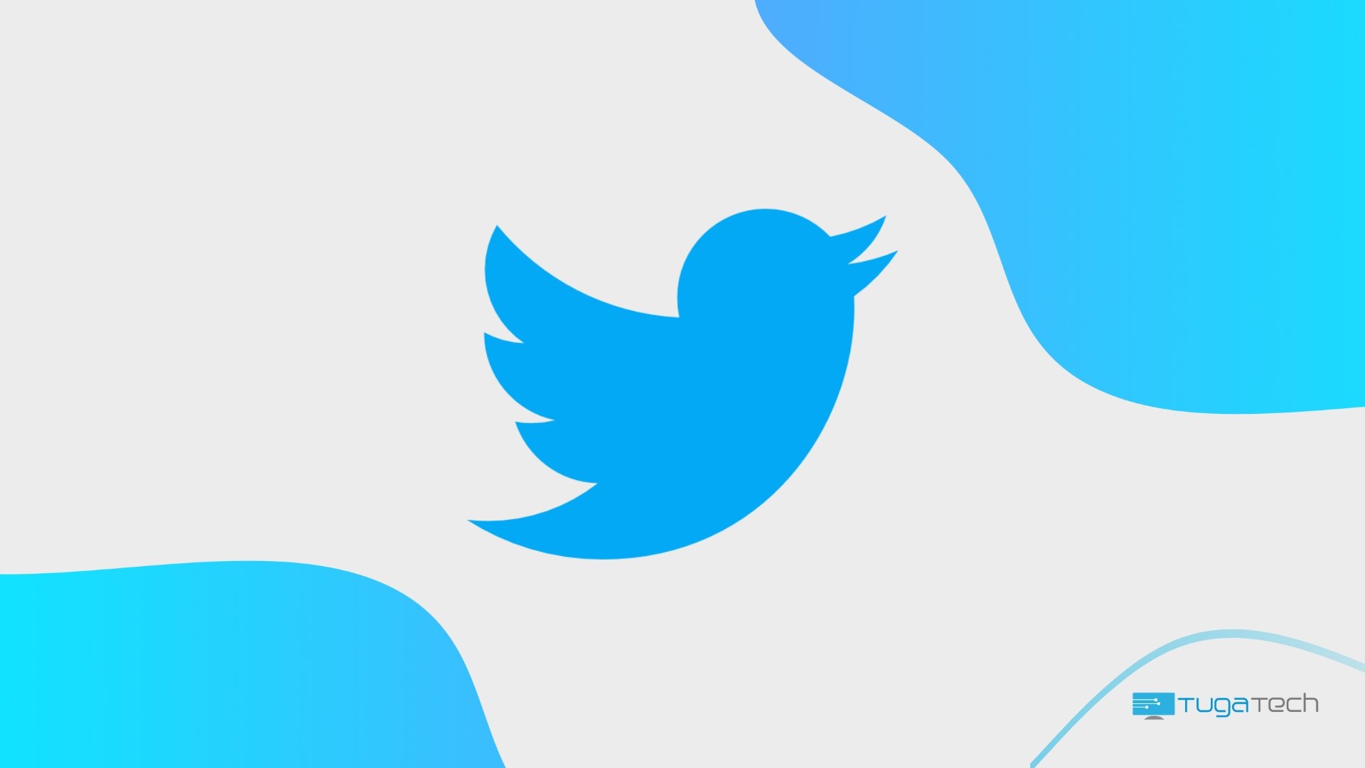 Logo do Twitter em destaque