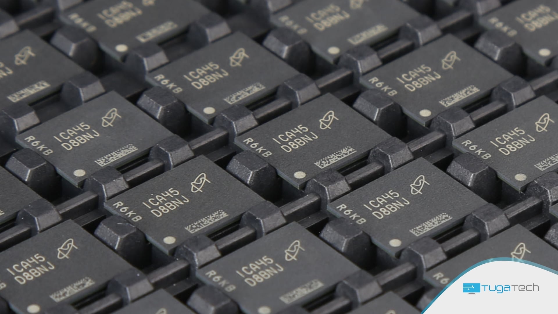 Chips Micron