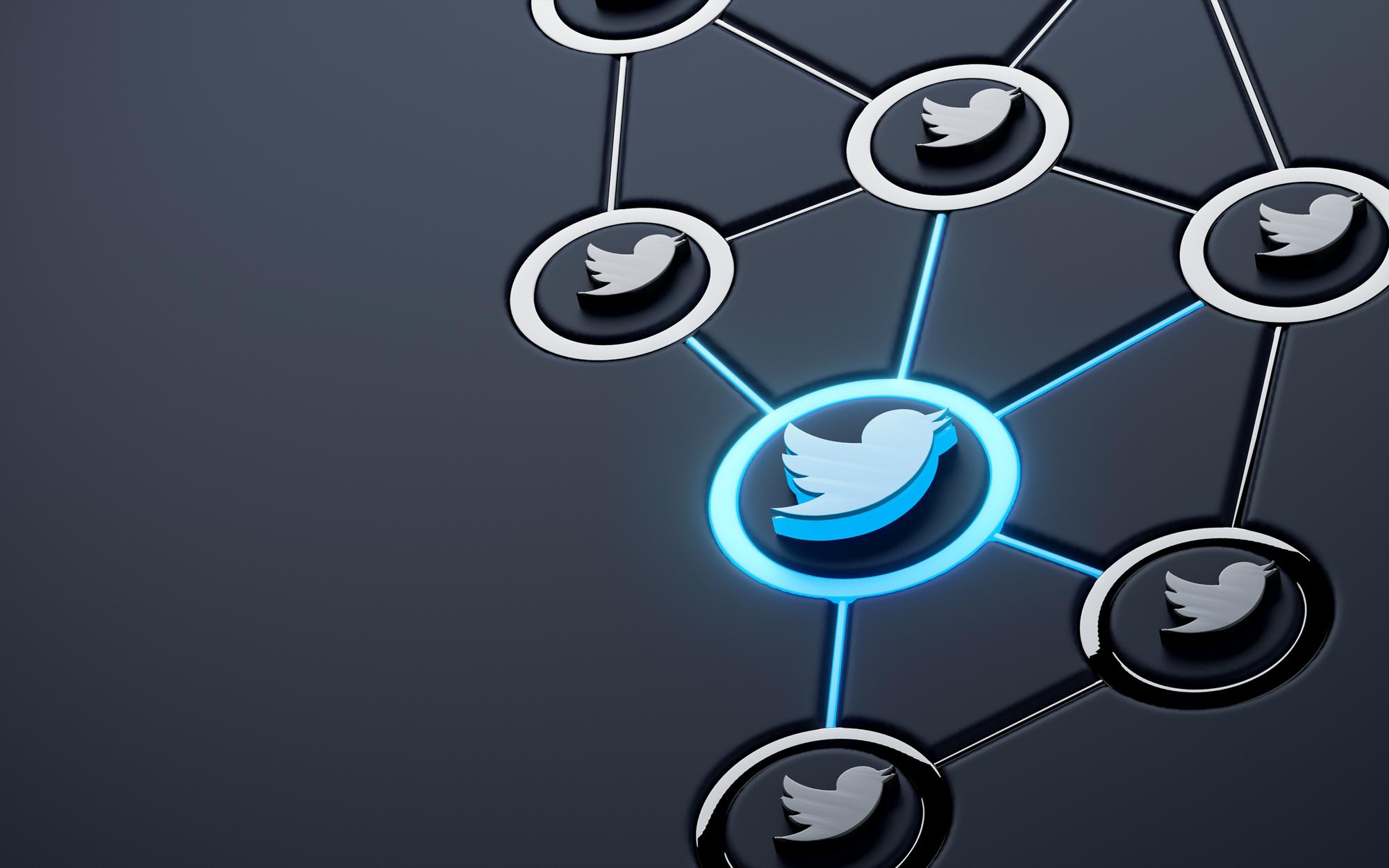 Twitter logo sobre rede interligada