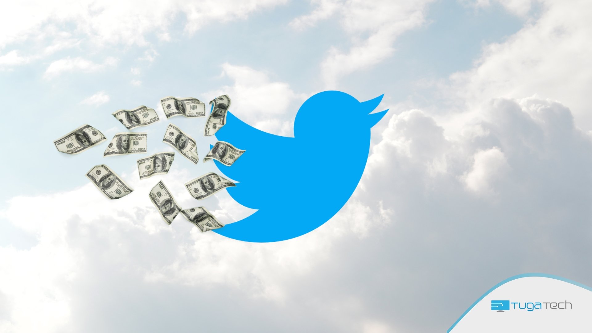 Twitter com dinheiro atrás da asa