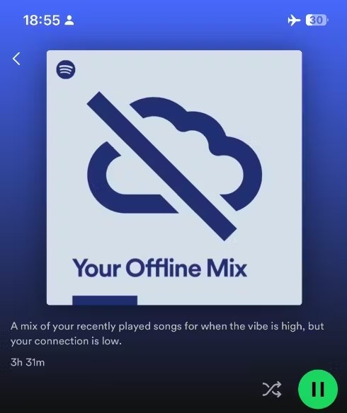 Spotify Offline mix