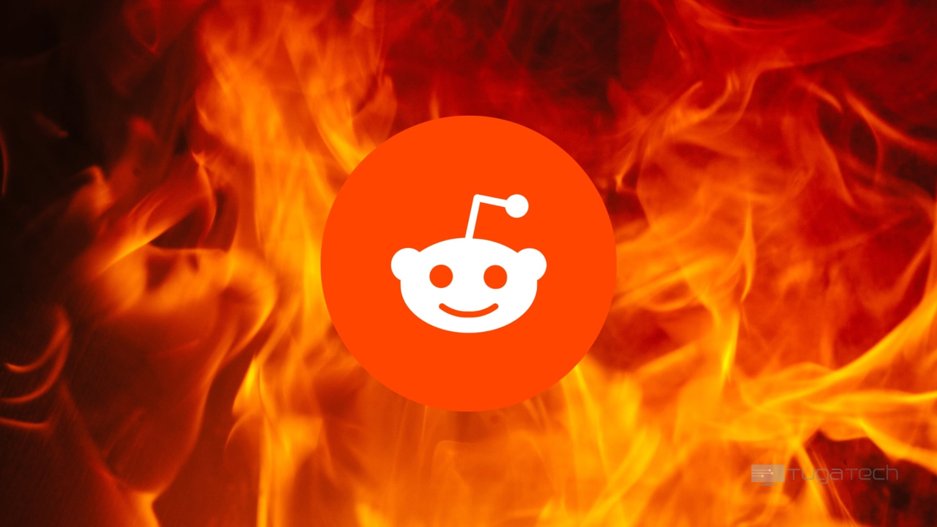 Reddit sobre fogo