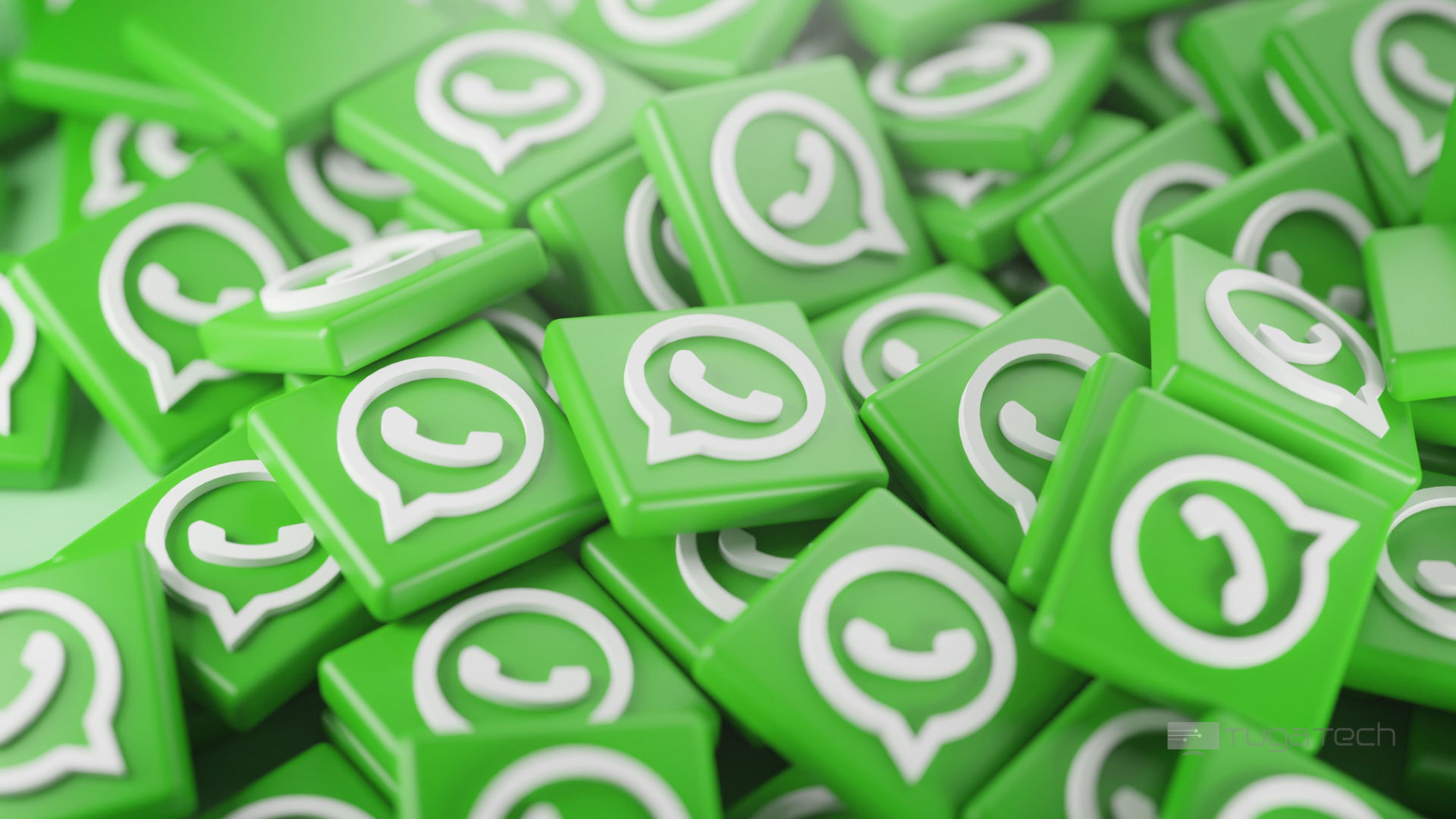 WhatsApp logo da app