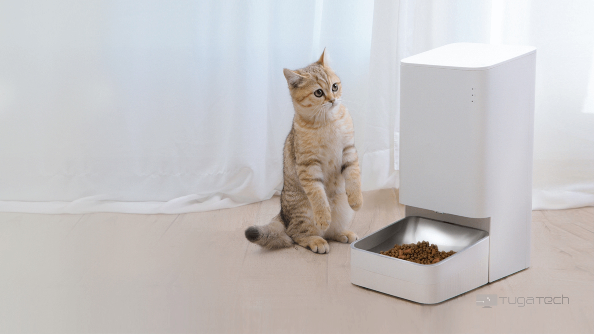 Xiaomi Smart Pet Food