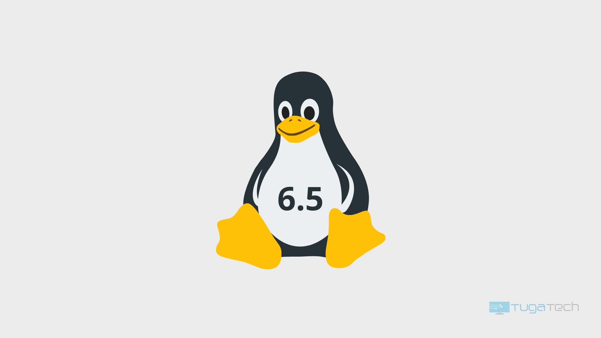 Imagem do linux 6.5