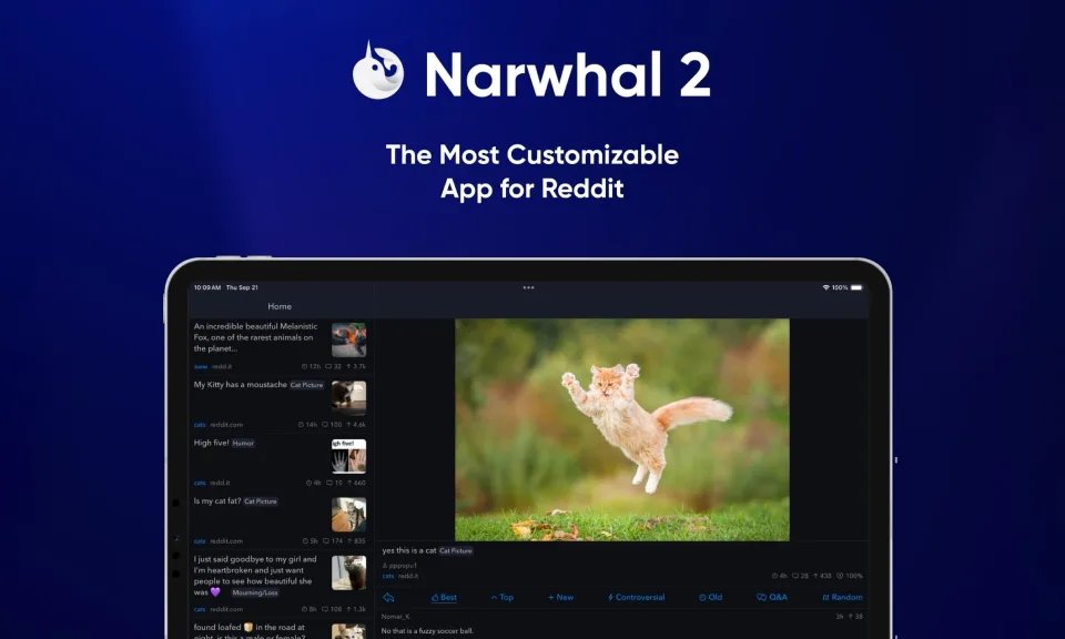 Narwhal, cliente do Reddit, aumenta preço da subscrição mensal