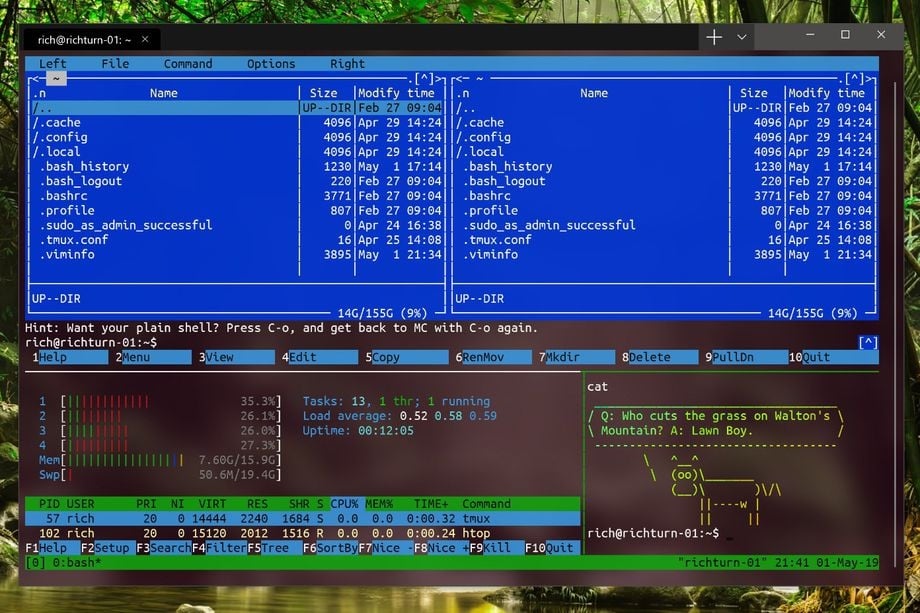 windows terminal
