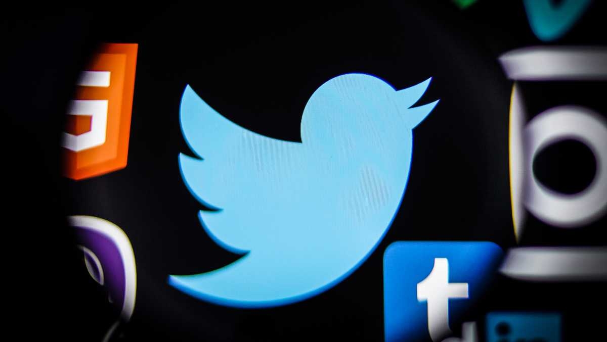 twitter logo e pássaro azul
