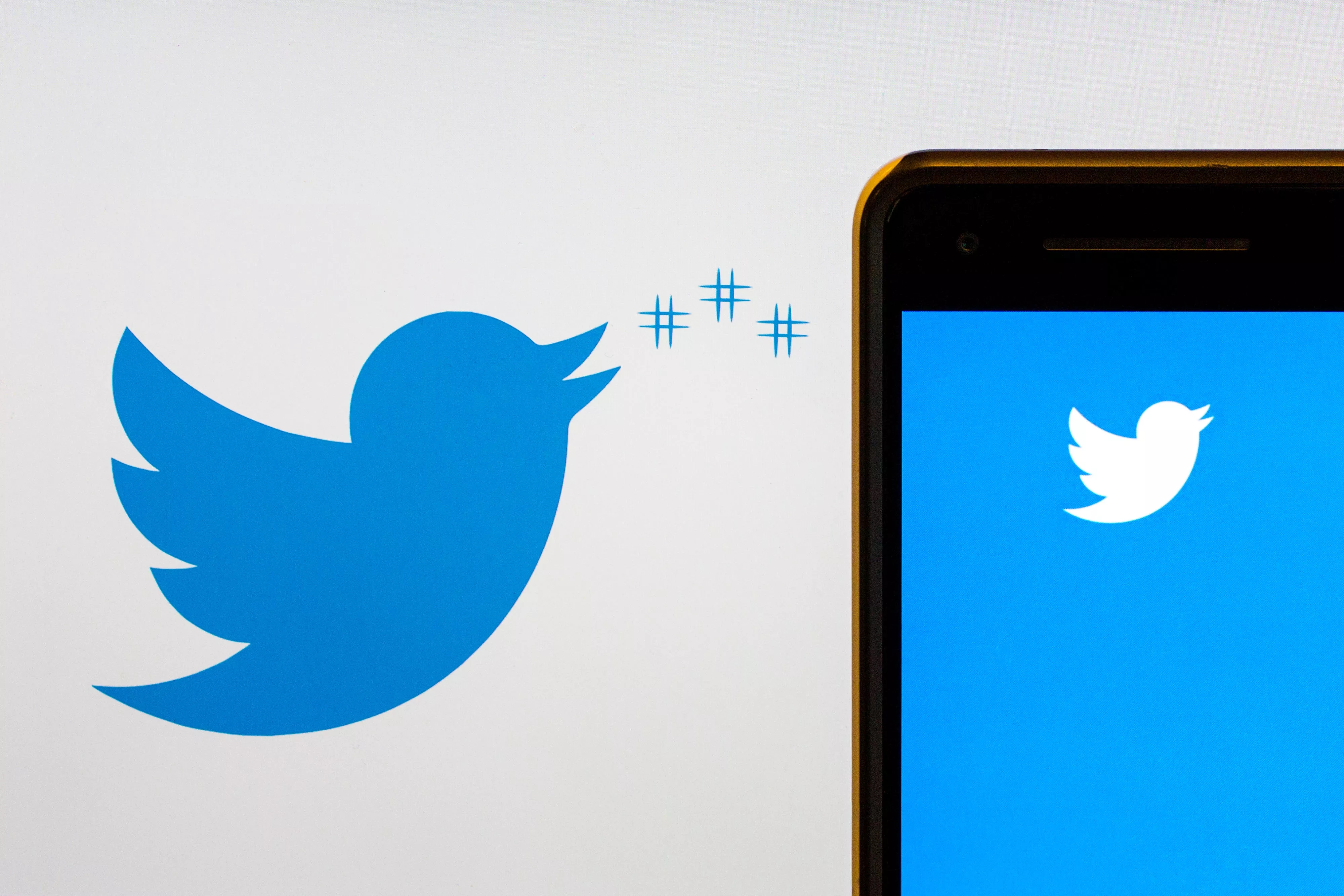 twitter logo