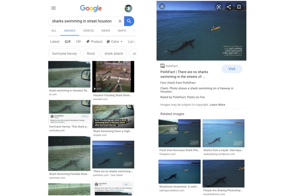 Google fact check pesquisa imagens