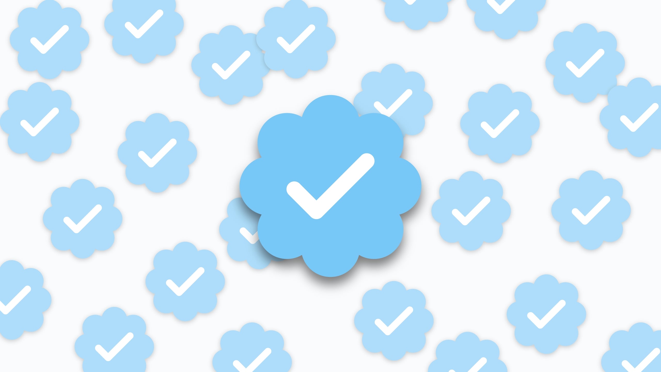 Twitter verificação
