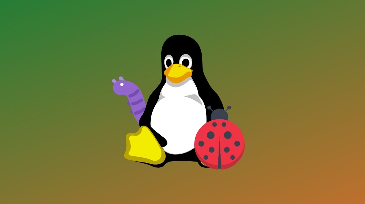 Linux bug