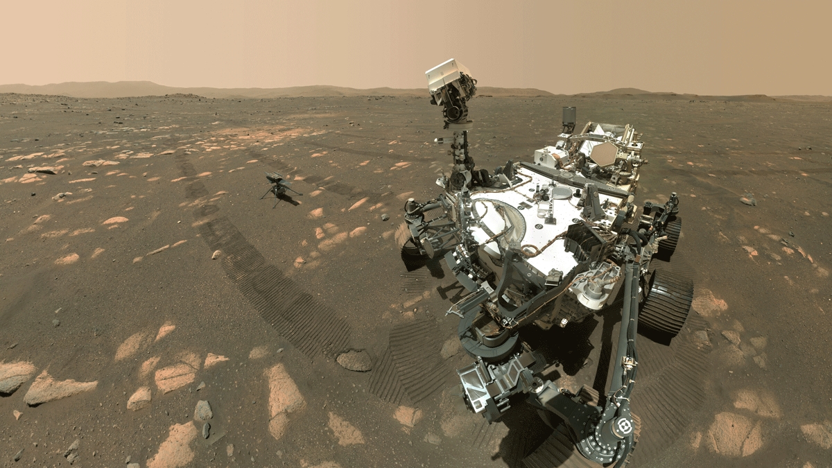 selfie rover perserverance
