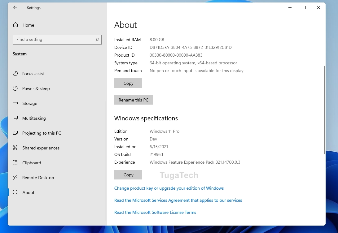 Windows 11