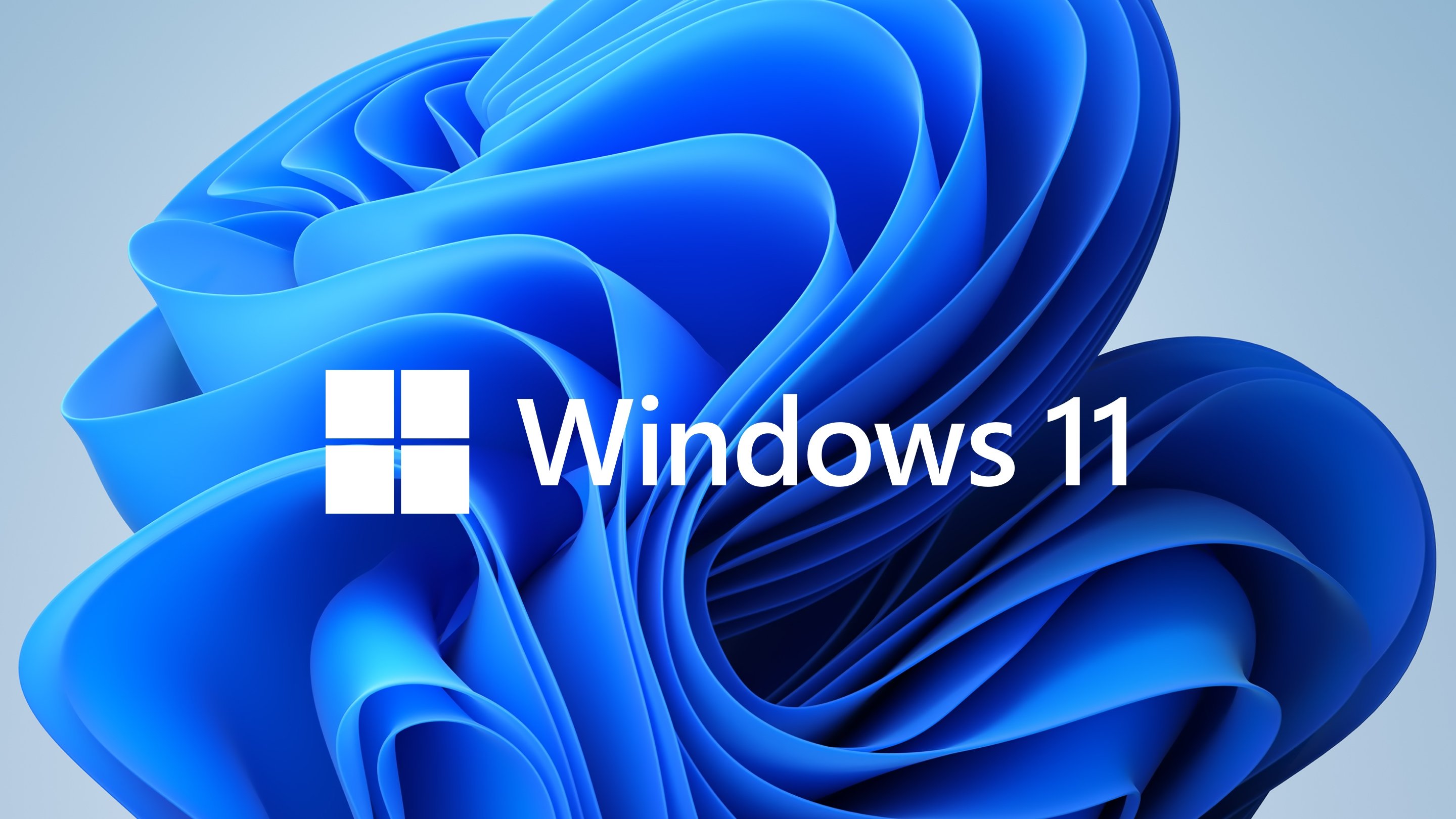 Windows 11 logo