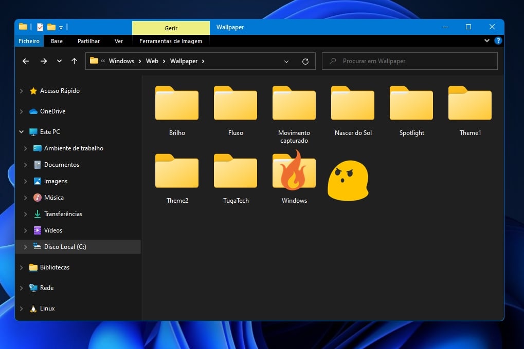 Windows 11 pastas