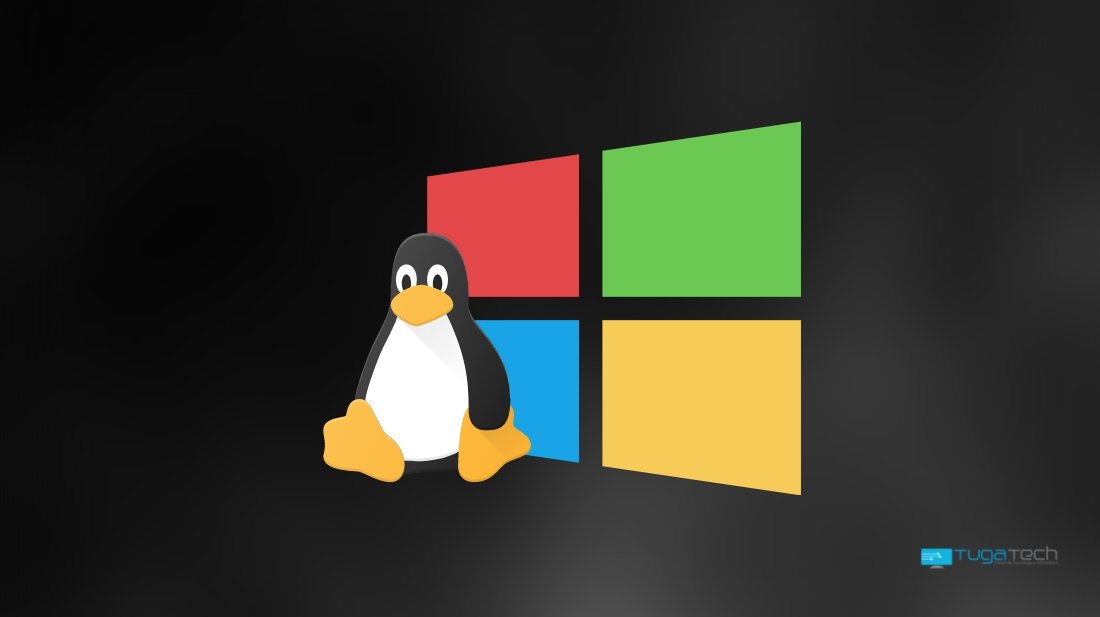 Linux e Microsoft Windows