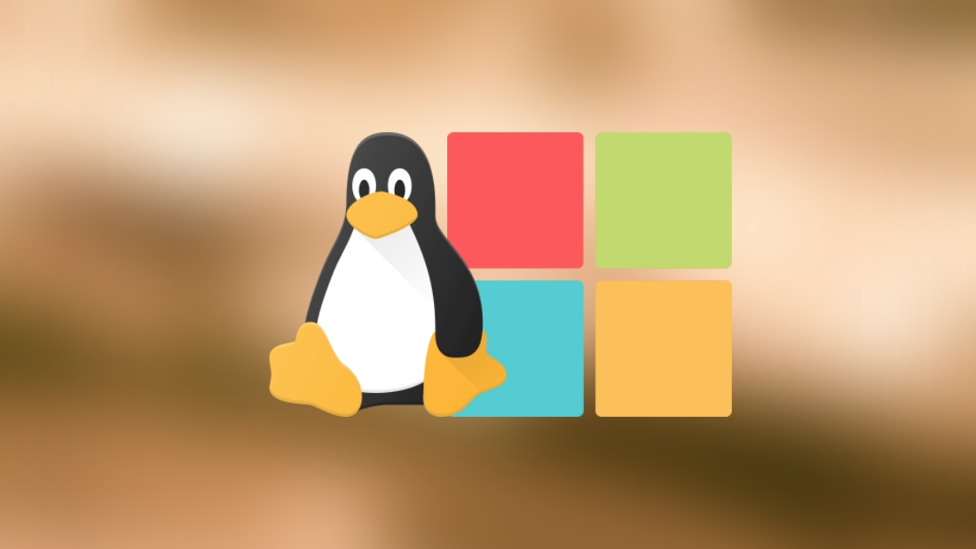 Windows e Linux