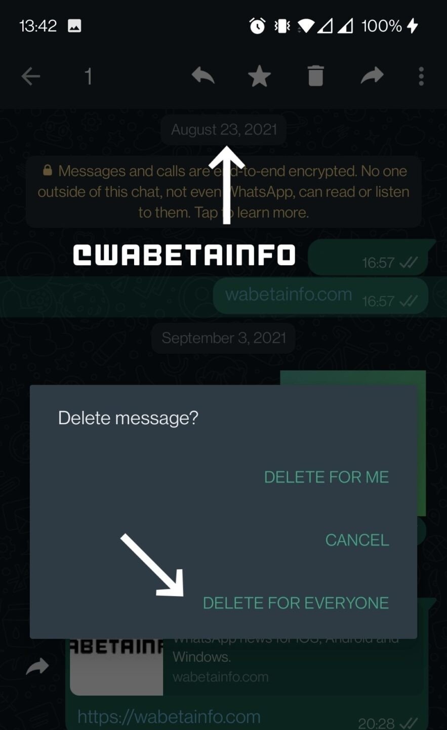 remover mensagens do whatsapp