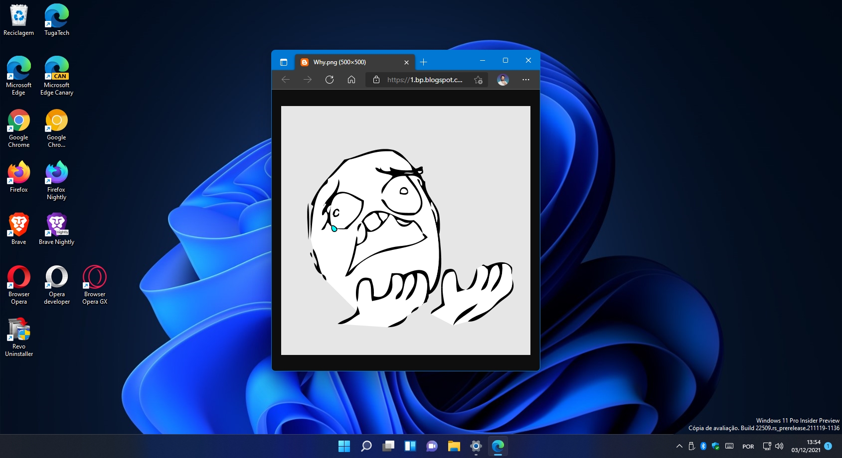 Windows 11