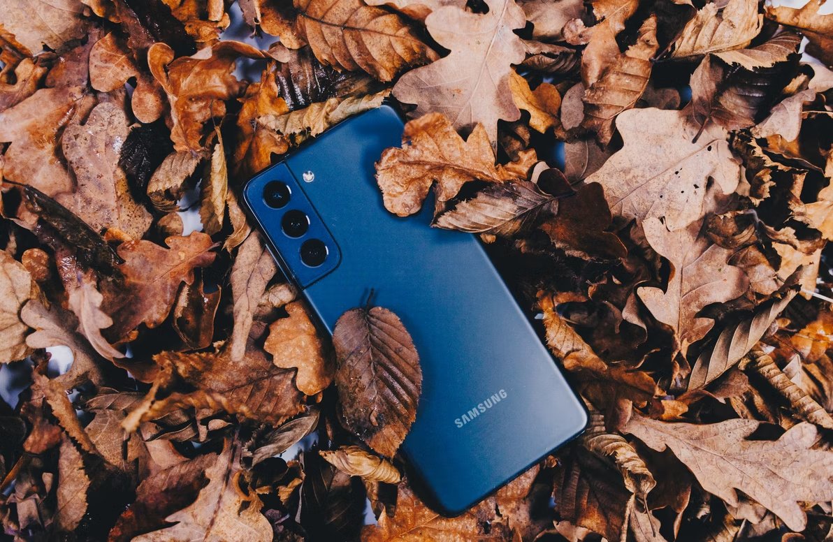 Samsung Galaxy S22 sobre folhas