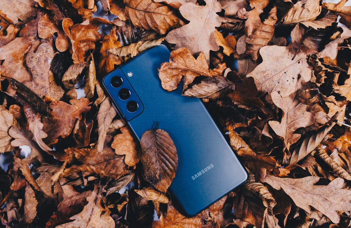 Samsung Galaxy S22 sobre folhas