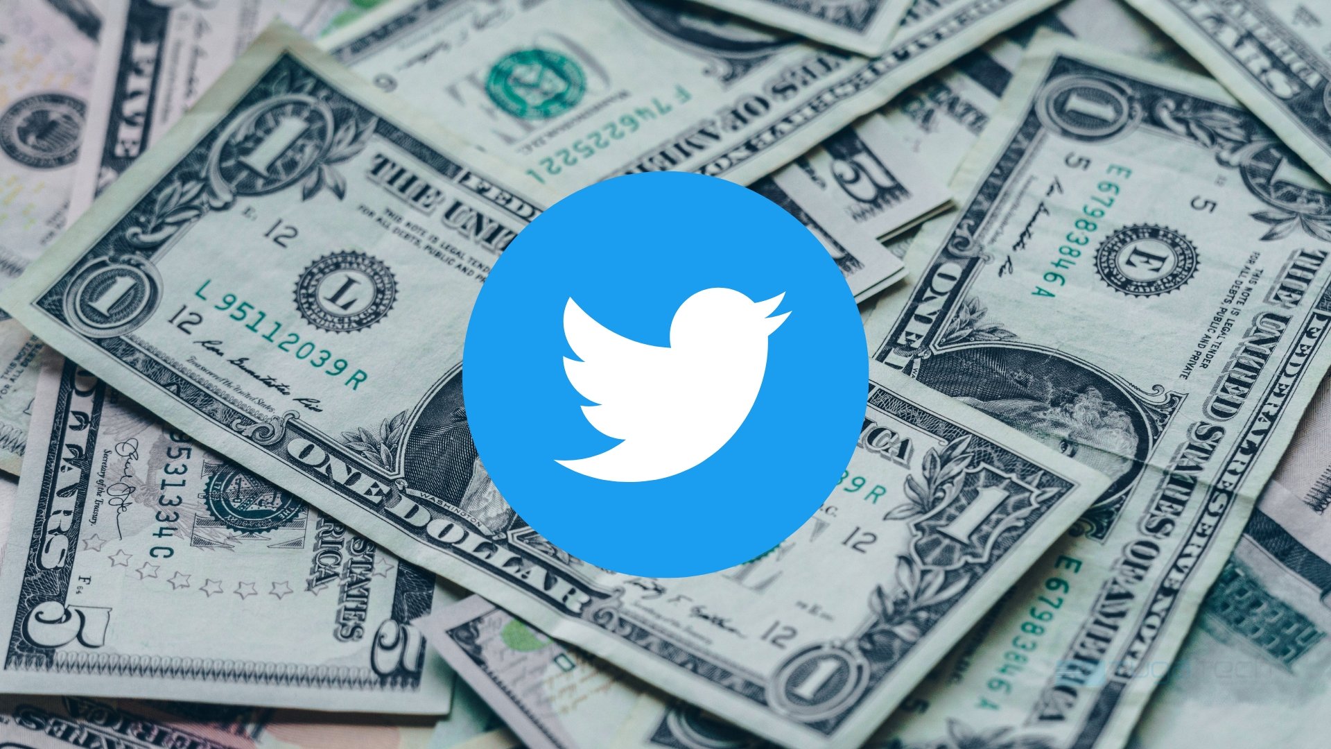 Twitter empresa sobre dinheiro