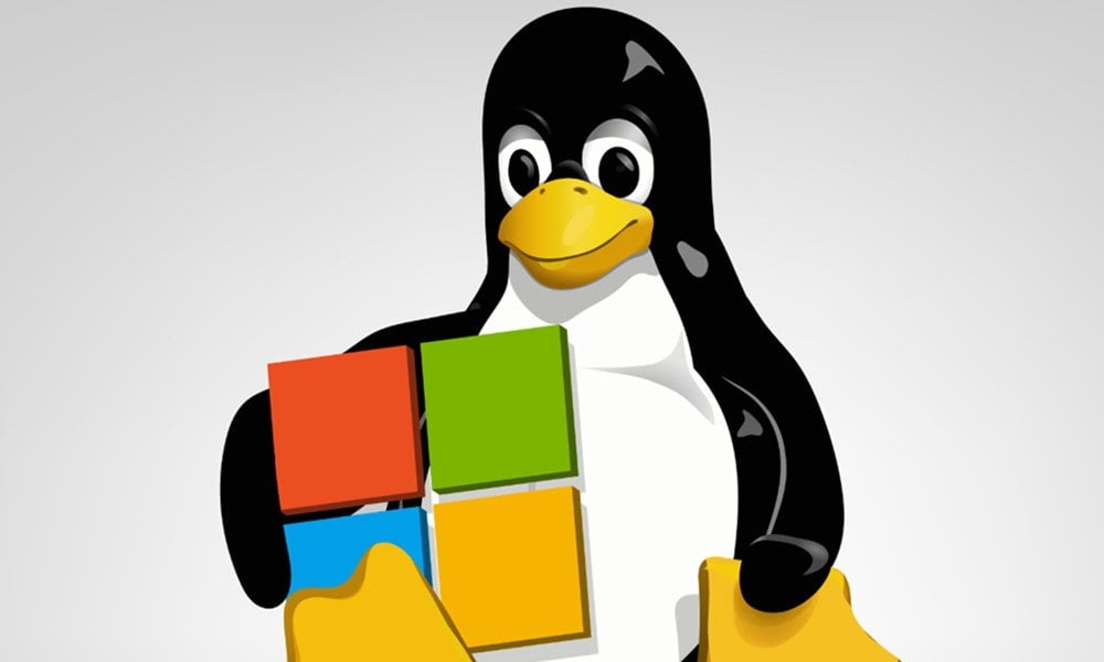 Linux e Microsoft