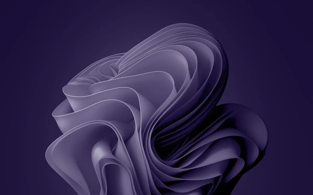 Windows 11 roxo