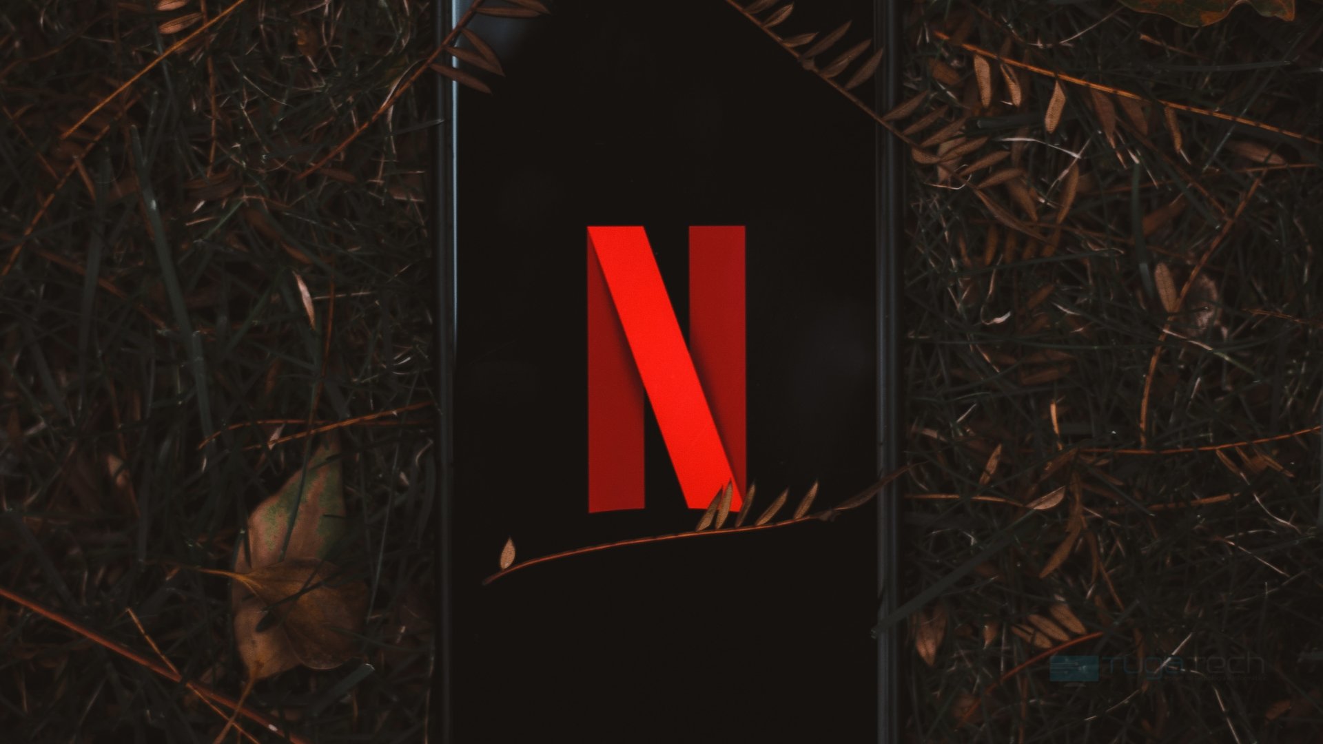 Netflix para iOS