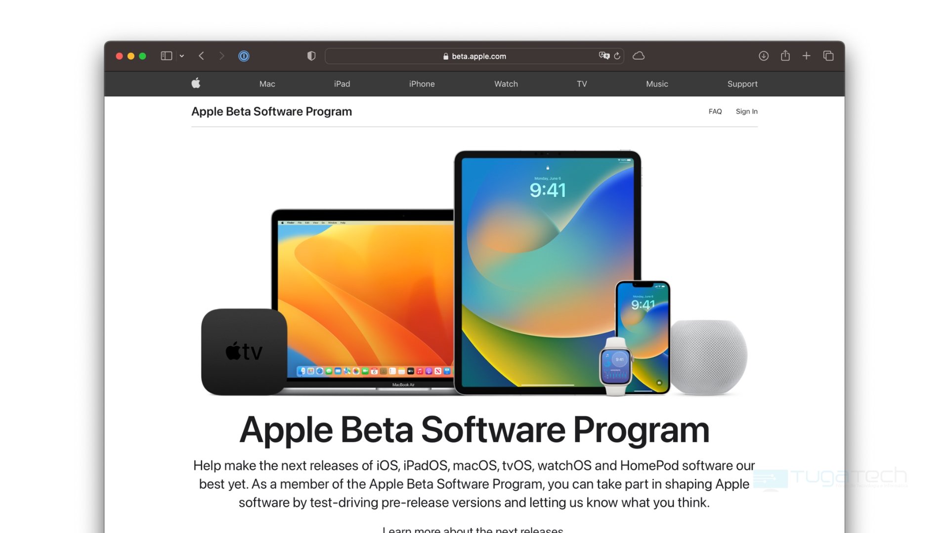 Apple Beta software