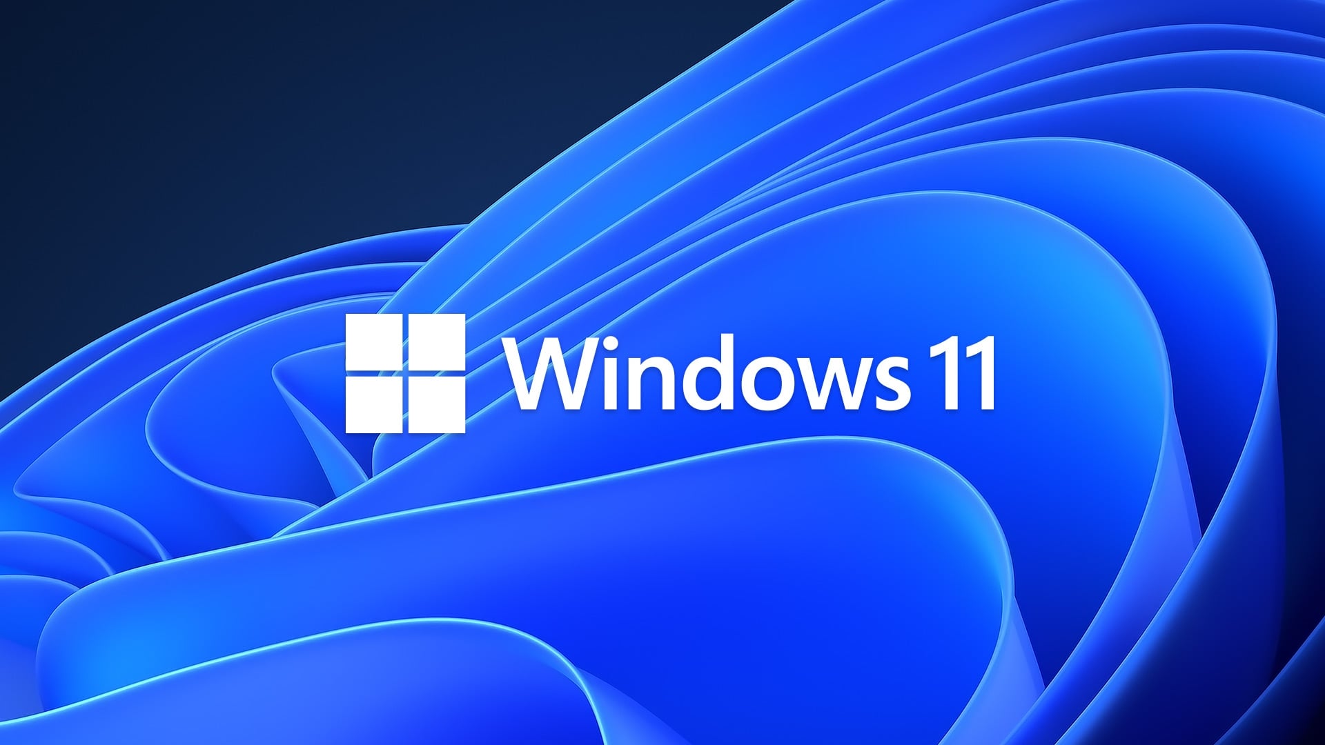 Windows 11 wallpaper com fundo do sistema