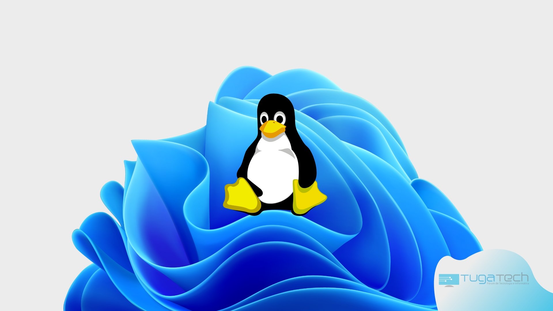 Subsistema de Linux no Windows 11