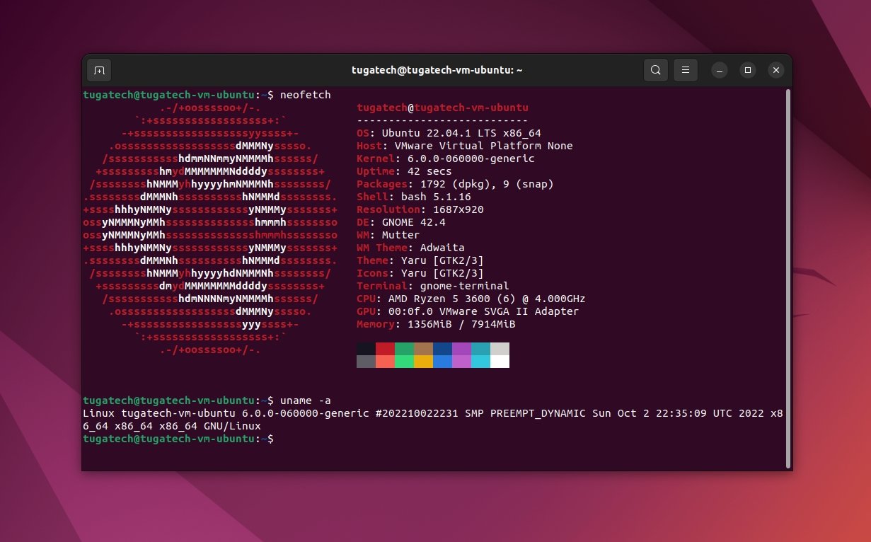 Ubuntu com kernel 6.0