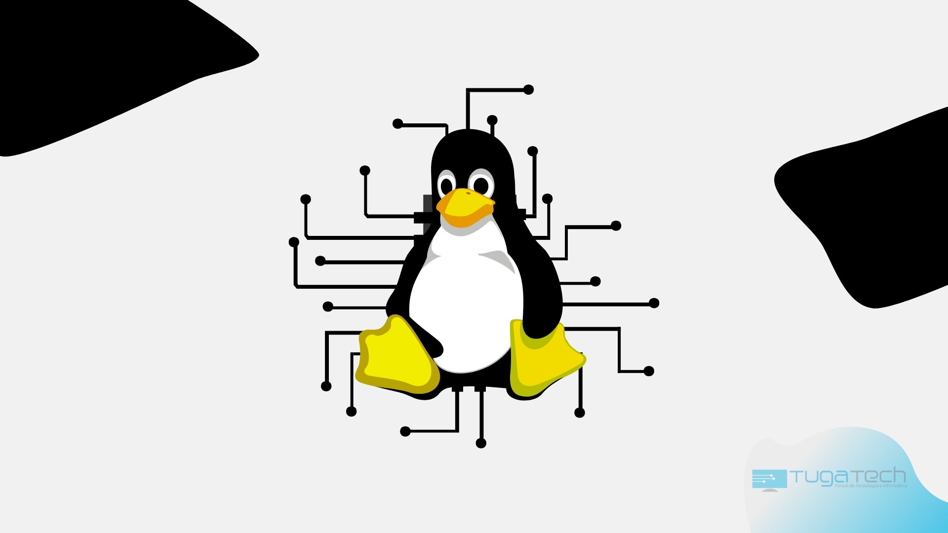 Linux sobre fundo de codigo